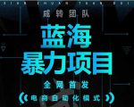 引流哥蓝海暴力躺赚项目:无需发圈无需引流无需售后,每单赚50-500(教程+线报群)-学习笔记资源库