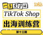 TikTokShop出海训练营(第十三期),打开全球流量新思维,出海抢占全球新流量,一店卖全球-学习笔记资源库
