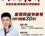 星哥同城教育书单号课程,无需出境简单操作项目稳定-学习笔记资源库