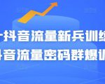 Peter抖音流量新兵训练营-破解抖音流量密码群爆训练营(新兵)-学习笔记资源库
