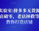野路子实验室:拼多多无货源店群项目,新店破零,老店拯救等全方位教你打造店铺-学习笔记资源库