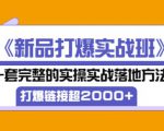 凌童《新品打爆实战班》,一套完整的实操实战落地方法,打爆链接超2000+(28节课)-学习笔记资源库