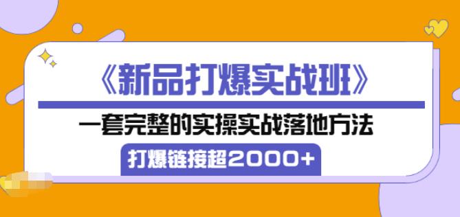 凌童《新品打爆实战班》,一套完整的实操实战落地方法，打爆链接超2000+（28节课)-学习笔记资源库