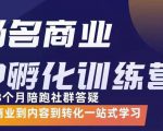 杨名商业IP孵化训练营,从商业到内容到转化一站式学 价值5980元-学习笔记资源库