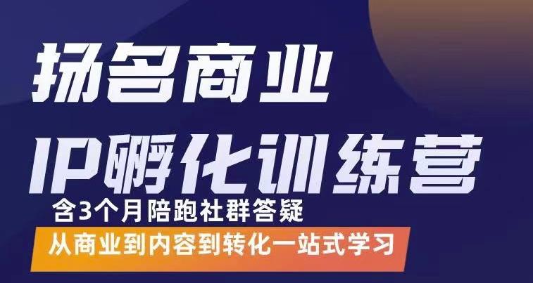 杨名商业IP孵化训练营，从商业到内容到转化一站式学 价值5980元-学习笔记资源库