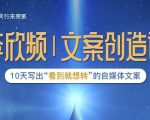 李欣频|文案创造课，0基础可报10天写出“看到就想转”的自媒体文案-学习笔记资源库