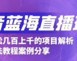抖音最新蓝海直播玩法,3分钟赚30元,一天轻松1000+,只要你去直播就行【详细玩法教程】-学习笔记资源库