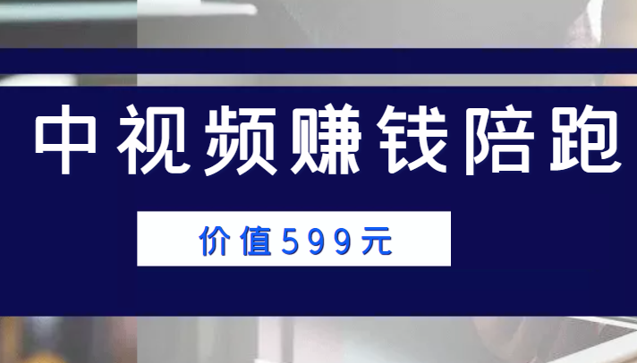 中视频赚钱陪跑，卖中视频账户赚钱收益陪跑项目（价值599元）-学习笔记资源库