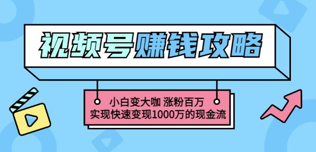 玩转微信视频号赚钱：小白变大咖涨粉百万实现快速变现1000万的现金流-学习笔记资源库