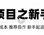 虚拟项目快速起店模式,0成本打造月入几万虚拟店铺!-学习笔记资源库
