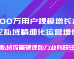 8000万用户规模增长方法论私域精细化运营增长,私域流量硬课助力业务跃迁-学习笔记资源库