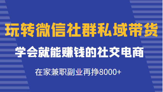 玩转微信社群私域带货，学会就能赚钱的社交电商，在家兼职副业再挣8000+-学习笔记资源库
