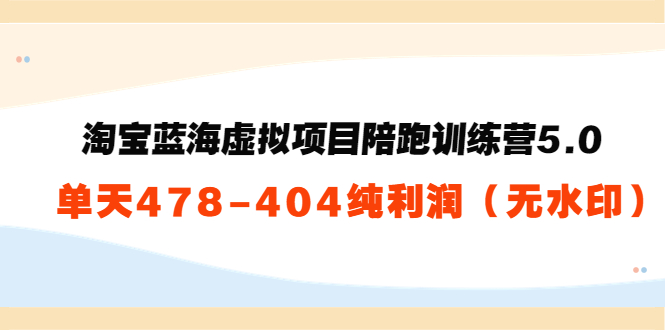 淘宝蓝海虚拟项目陪跑训练营5.0：单天478纯利润-学习笔记资源库