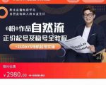 0粉0作品自然流正价起号及稳号全教程,专业自然流起号机构流程化教学(价值2980元)-学习笔记资源库