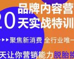 《内容营销实操特训营》20天让你营销能力脱胎换骨（价值3999）-学习笔记资源库