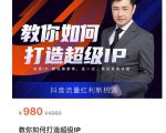 教你如何打造超级IP,抖音流量红利新机遇(价值980元)-学习笔记资源库