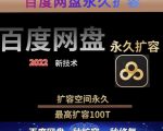 百度网盘无限扩容技术,外面卖399的,无论自己用还是用做引流都可以-学习笔记资源库