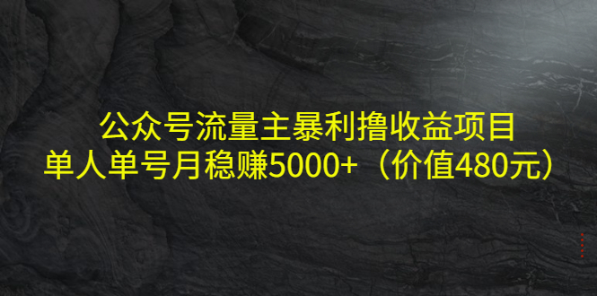 公众号流量主暴利撸收益项目，单人单号月稳赚5000+（价值480元）-学习笔记资源库