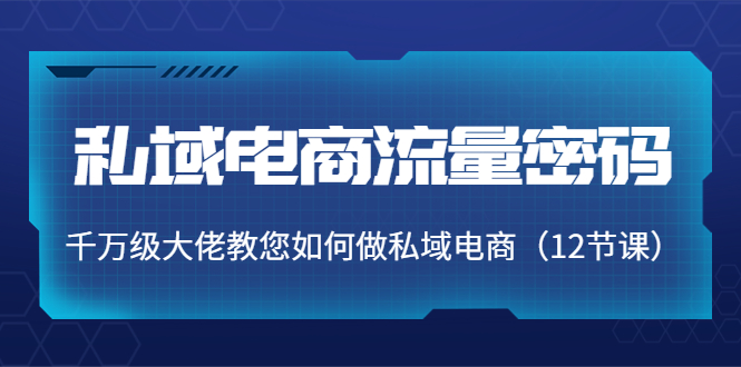 私域电商流量密码：千万级大佬教您如何做私域电商（12节课）-学习笔记资源库