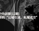新媒体IP内训营(12期),一套全新的“公域引流,私域成交”IP打法,直接带走-学习笔记资源库