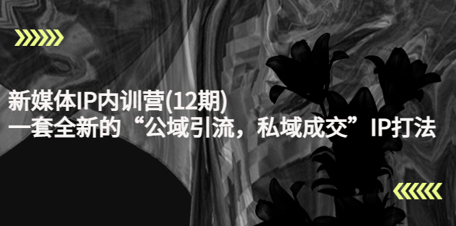 新媒体IP内训营(12期)，一套全新的“公域引流，私域成交”IP打法，直接带走-学习笔记资源库