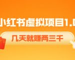 《小红书虚拟项目1.0》账号注册+养号+视频制作+引流+变现,几天就赚两三千-学习笔记资源库