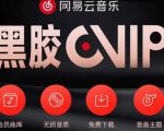 网易云音乐撸黑胶年卡及变现方法，收益可无限放大-学习笔记资源库