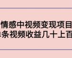 副业孵化营第5期:抖音情感中视频变现项目孵化 单条视频收益几十上百-学习笔记资源库