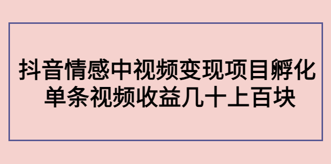 副业孵化营第5期：抖音情感中视频变现项目孵化 单条视频收益几十上百-学习笔记资源库