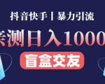 日收益1000+的交友盲盒副业丨有手就行的抖音快手暴力引流-学习笔记资源库