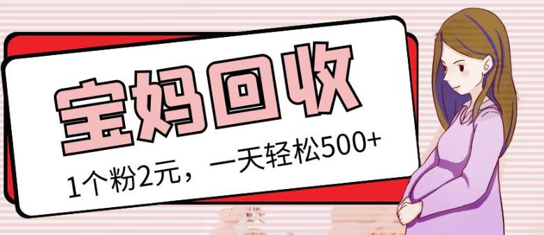 最新小红书母婴号宝妈粉回收项目，1个粉2元，一天轻松500+案例分享【粉丝包回收】-学习笔记资源库