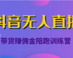 抖音无人直播带货赚佣金陪跑训练营(价值6980元)-学习笔记资源库