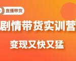 《剧情带货实训营》目前最好的直播带货方式,变起现来是又快又猛(价值980元)-学习笔记资源库