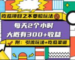吃瓜项目之不要脸玩法,每天2小时,收益300+(附 快手美女号引流+吃瓜渠道)-学习笔记资源库