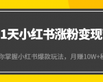 21天小红书涨粉变现营(第4期):带你掌握小红书爆款玩法,月赚10W+秘密-学习笔记资源库