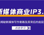 新媒体商业IP3.0,全面揭秘新媒体写作套路及其背后的底层逻辑(价值1299元)-学习笔记资源库