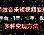 黄岛主《粒子特效音乐短视频变现项目》主攻平台抖音、快手、视频号多种变现方法-学习笔记资源库