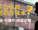 外面收费2980的全平台电商白嫖撸货技术(仅揭秘勿操作-商家防范必看)-学习笔记资源库