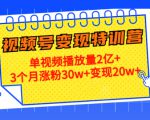 21天视频号变现特训营:单视频播放量2亿+3个月涨粉30w+变现20w+(第14期)-学习笔记资源库