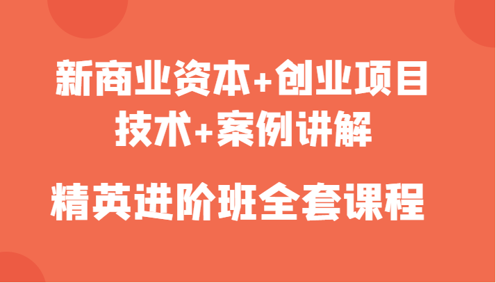 新商业资本+创业项目，技术+案例讲解，精英进阶班全套课程-学习笔记资源库