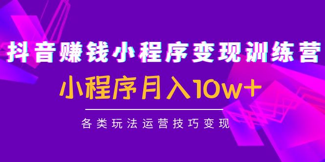 抖音赚钱小程序变现训练营：小程序月入10w+各类玩法运营技巧变现-学习笔记资源库