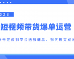 2023短视频带货爆单运营,从账号定位到学会选预爆品,到代理完成出单(价值1250元)-学习笔记资源库