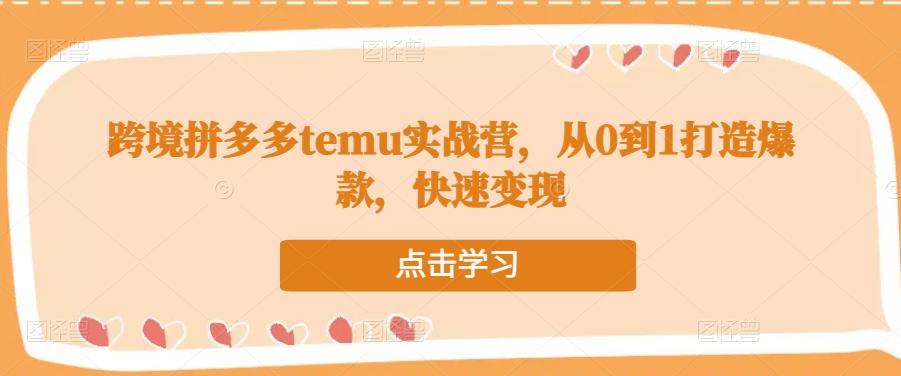 跨境拼多多temu实战营，从0到1打造爆款，快速变现-学习笔记资源库