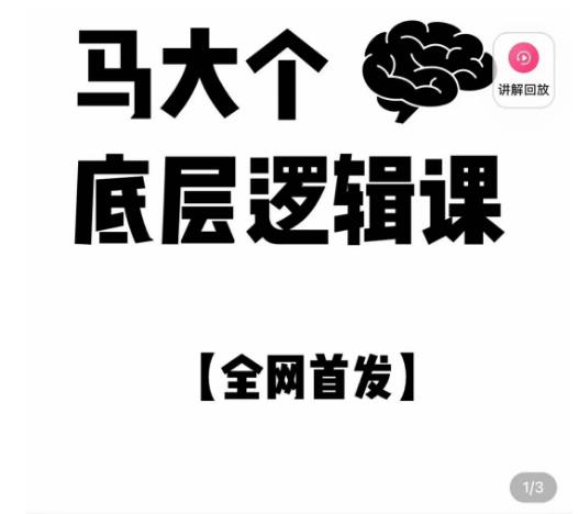 马大个·底层逻辑课，51节底层逻辑智慧课-价值1980元-学习笔记资源库