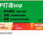 瑶瑶·自然流IP孵化,系统掌握IP孵化全流程,也能学到选题,剪辑,账号运营经验-学习笔记资源库