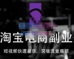 蓝Sir派·淘宝短视频快速起店,替代传统搜索方式,学会做一个不一样的淘宝店-学习笔记资源库