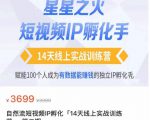 瑶瑶·自然流短视频IP孵化第二期,14天线上实战训练营,赋能100个人成为有数据能赚钱的独立IP孵化手-学习笔记资源库
