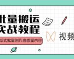 视频号批量搬运实战操作运营赚钱教程,傻瓜式批量制作高质量内容【附视频教程+PPT】-学习笔记资源库