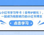 厦九九小红书学习年卡(全年IP孵化),沉浸式学习,一起成为有影响力的小红书博主-学习笔记资源库