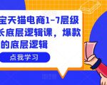 大圣淘宝天猫电商1-7层级盈利增长底层逻辑课,爆款的底层逻辑-学习笔记资源库